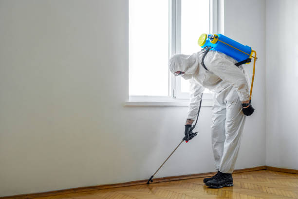 Best Insect Control  in Dunbar, WV