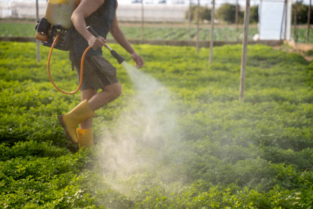Best Local Pest Control Services  in Dunbar, WV