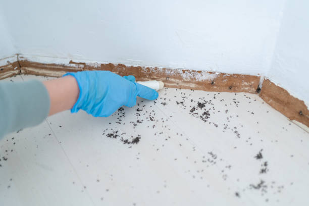 Best Pest Inspection Near Me  in Dunbar, WV